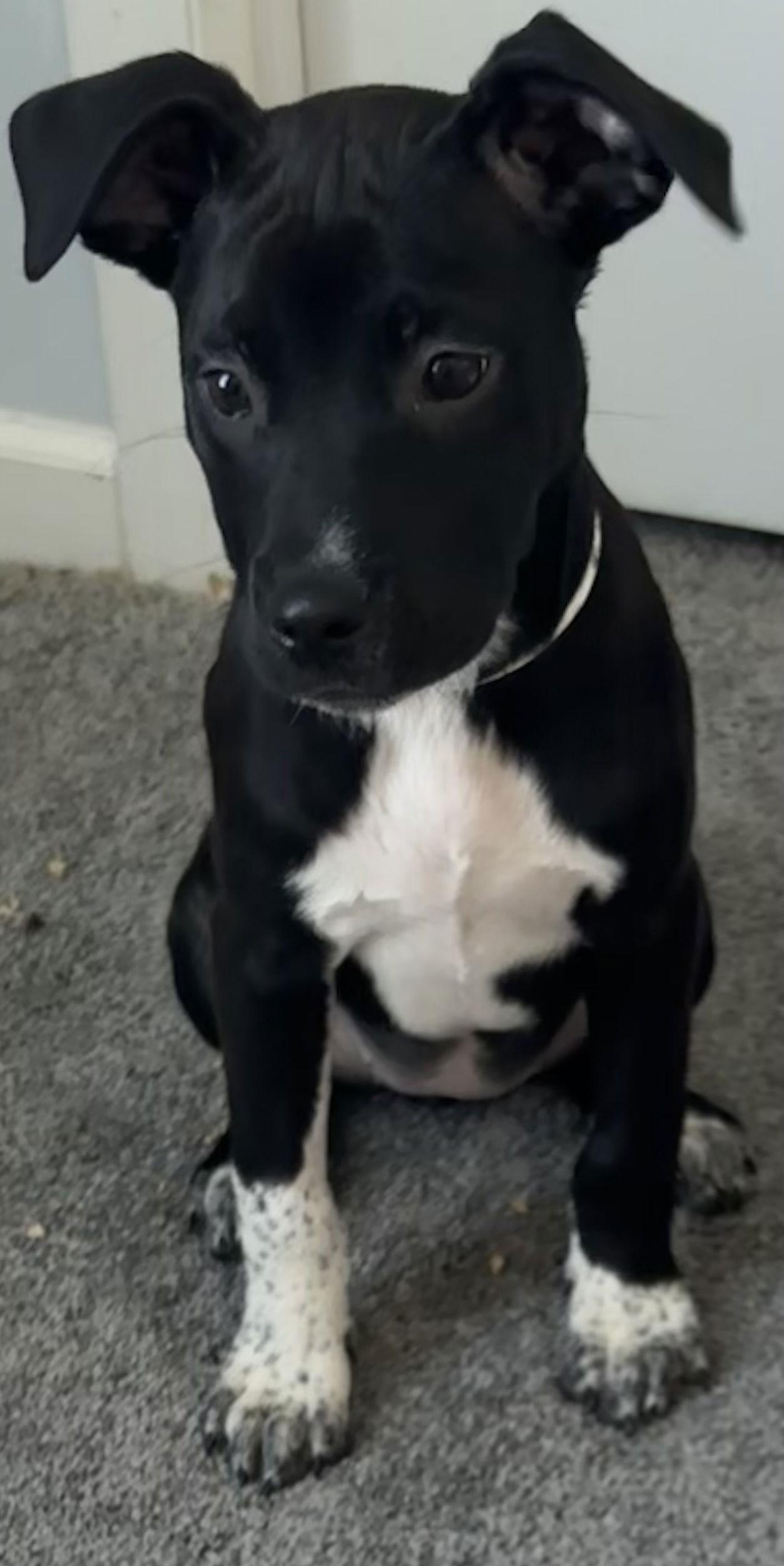 Rocky Road — thumbnail 3