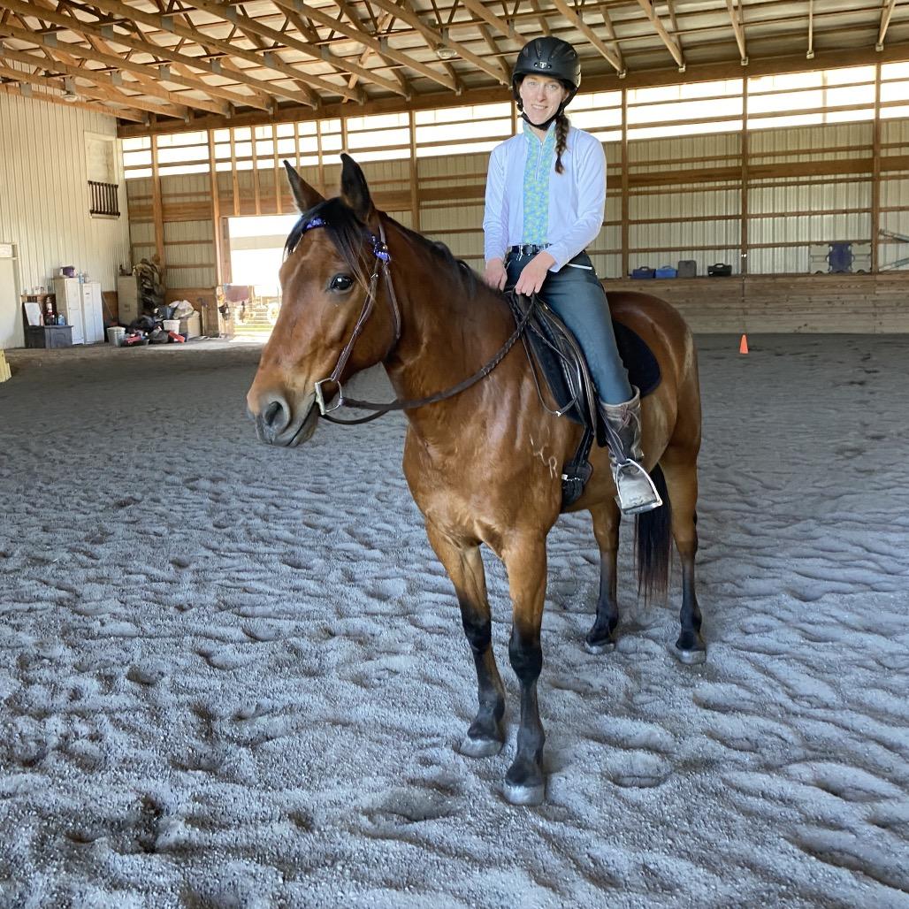 Enlarge Udon, a Adoptable Quarterhorse in Quakertown, PA image 2/6