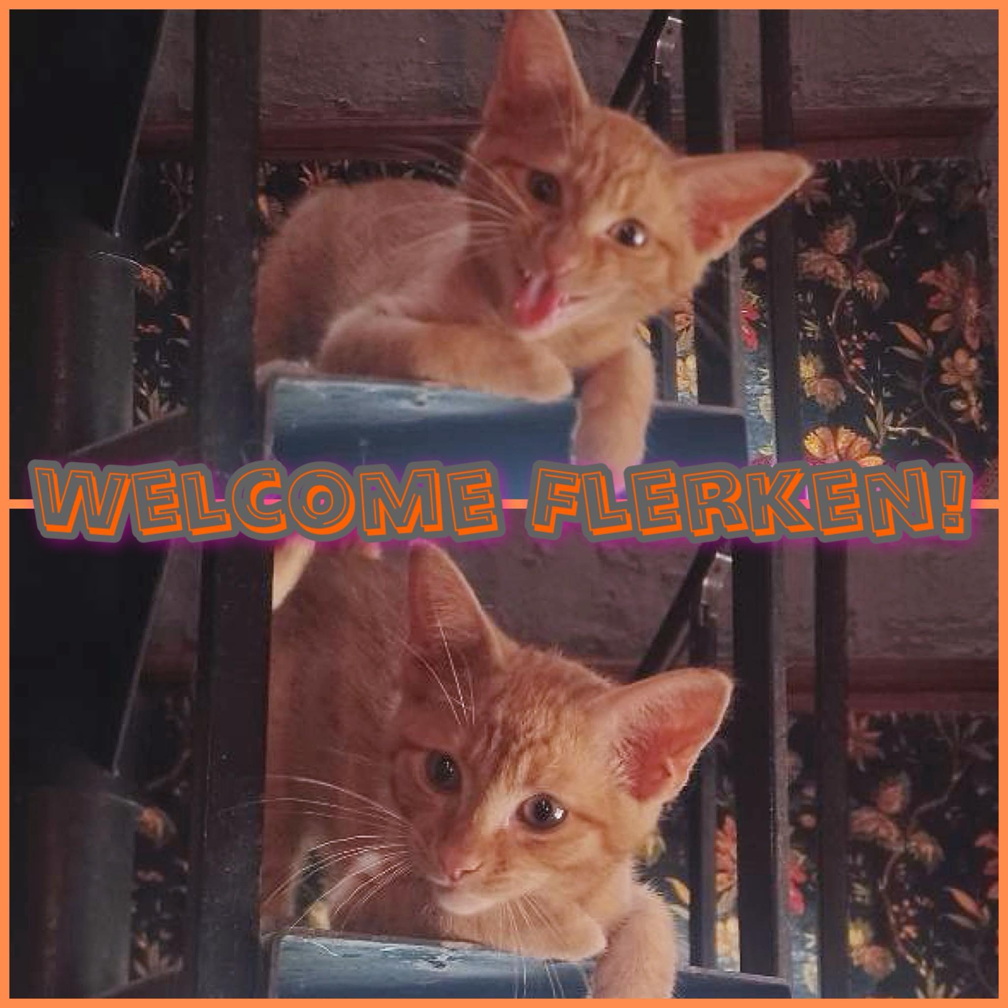 Flerken