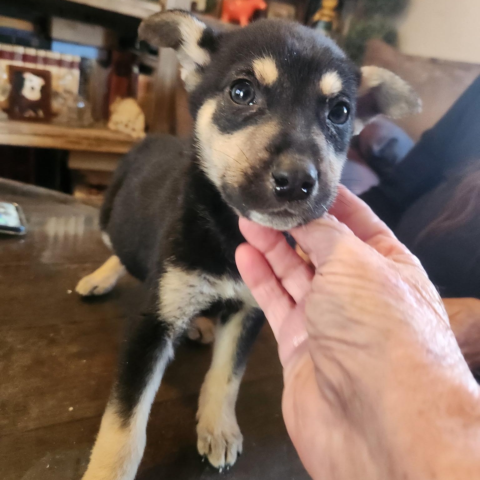 Peppers — thumbnail 3