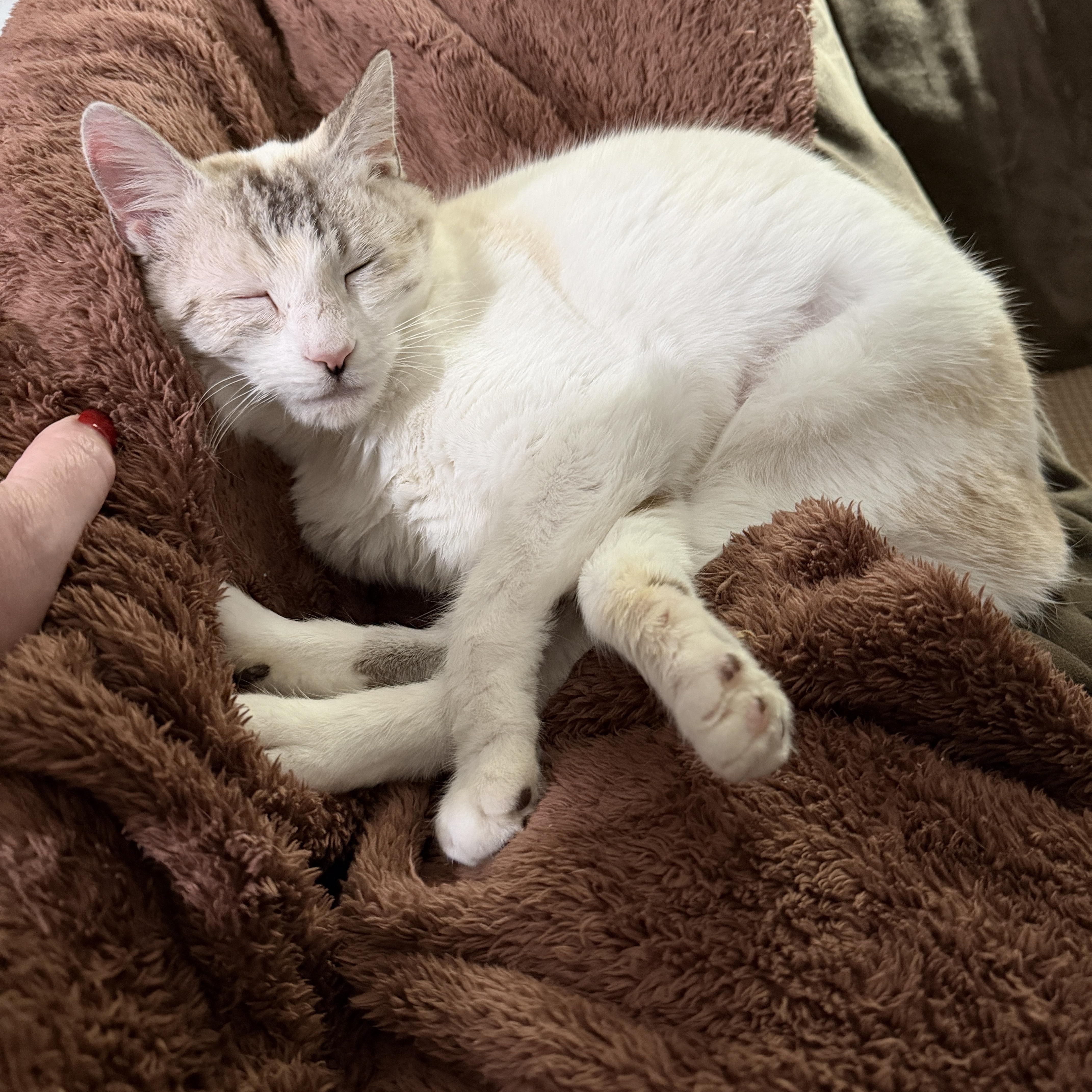 Sunny photo