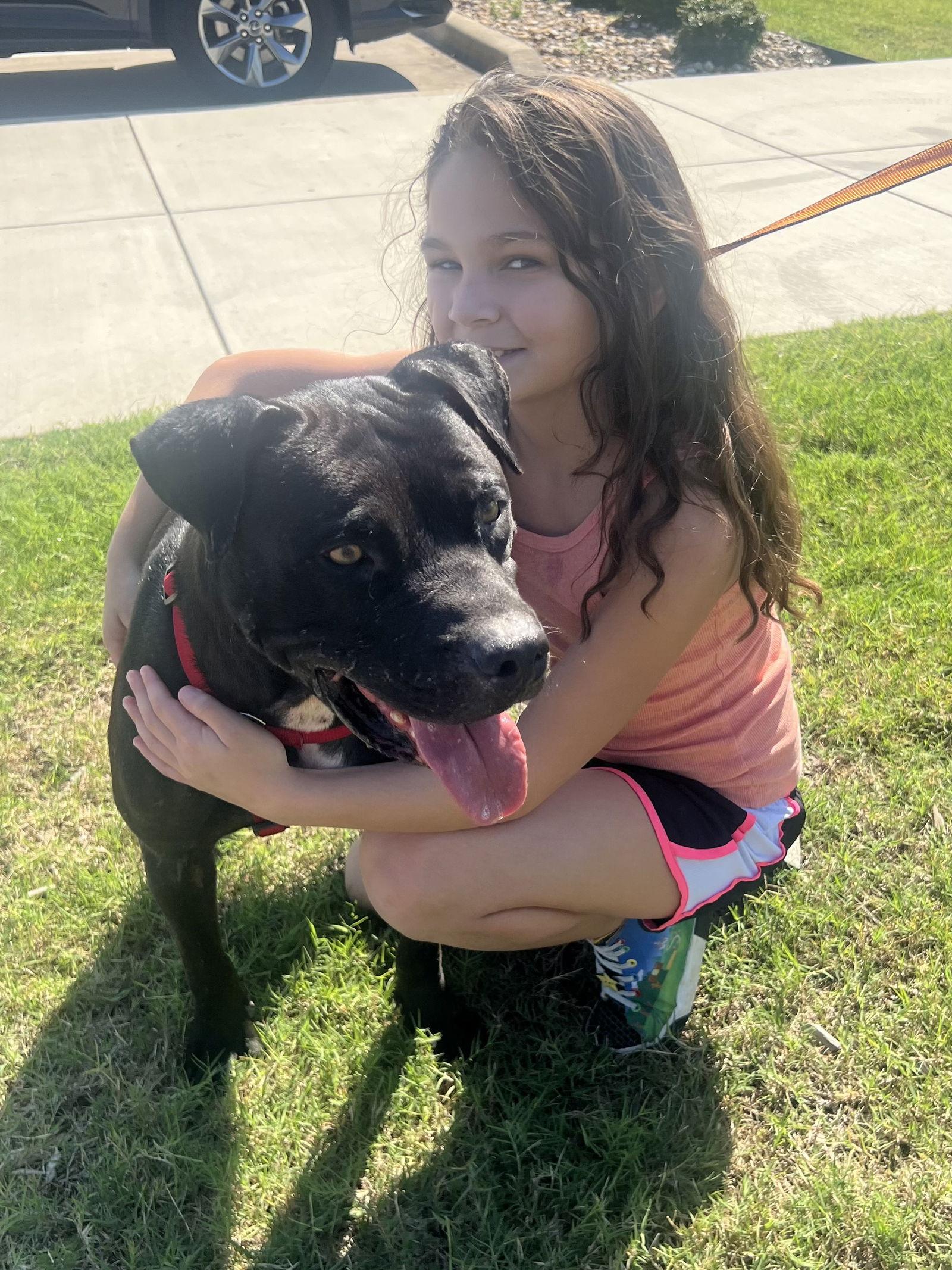 Enlarge Raider, a Adoptable mixed breed in Euless, TX image 1/3