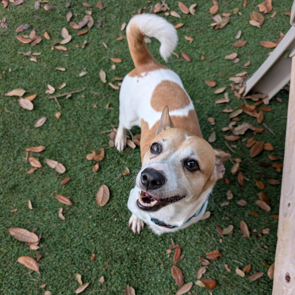 Hank — thumbnail 2