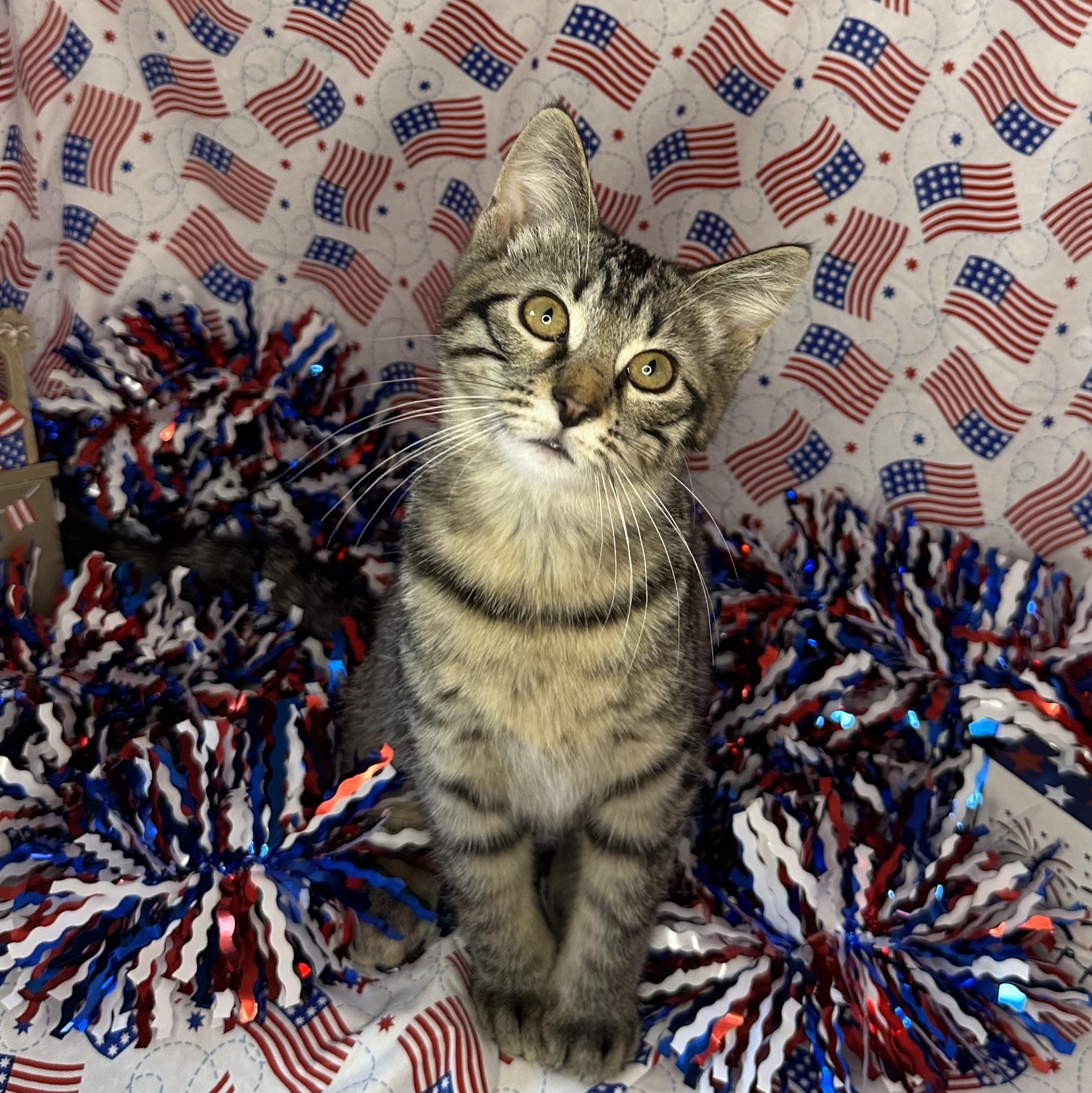 Churro & Misfit thumbnail 6