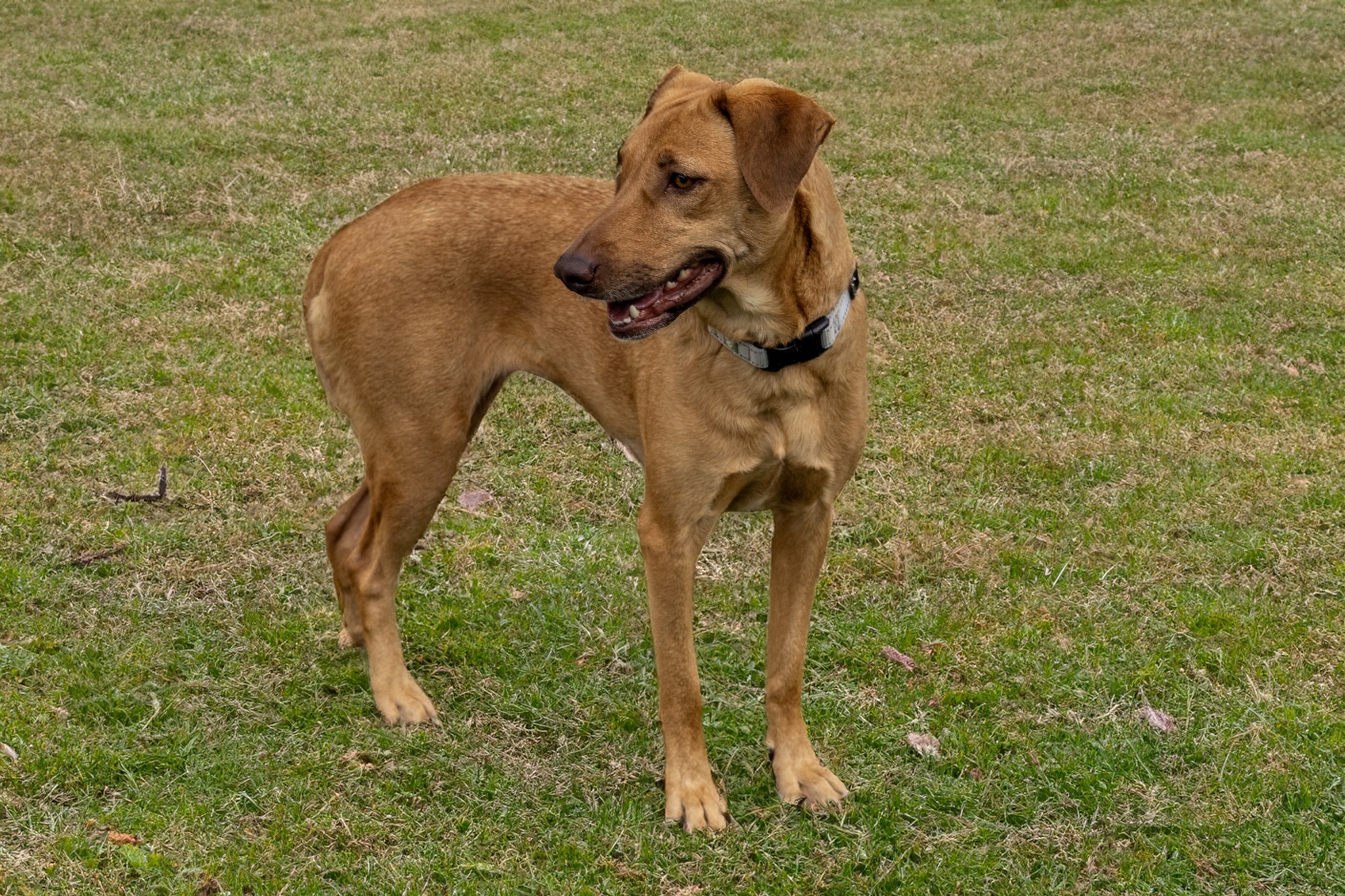 Hope photo 6