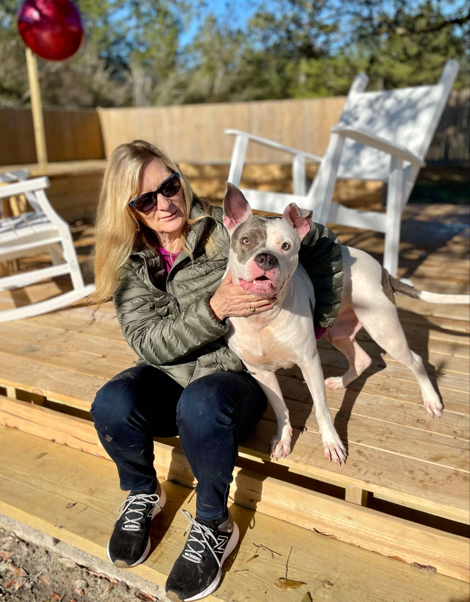 Genesis (Social Butterfly)