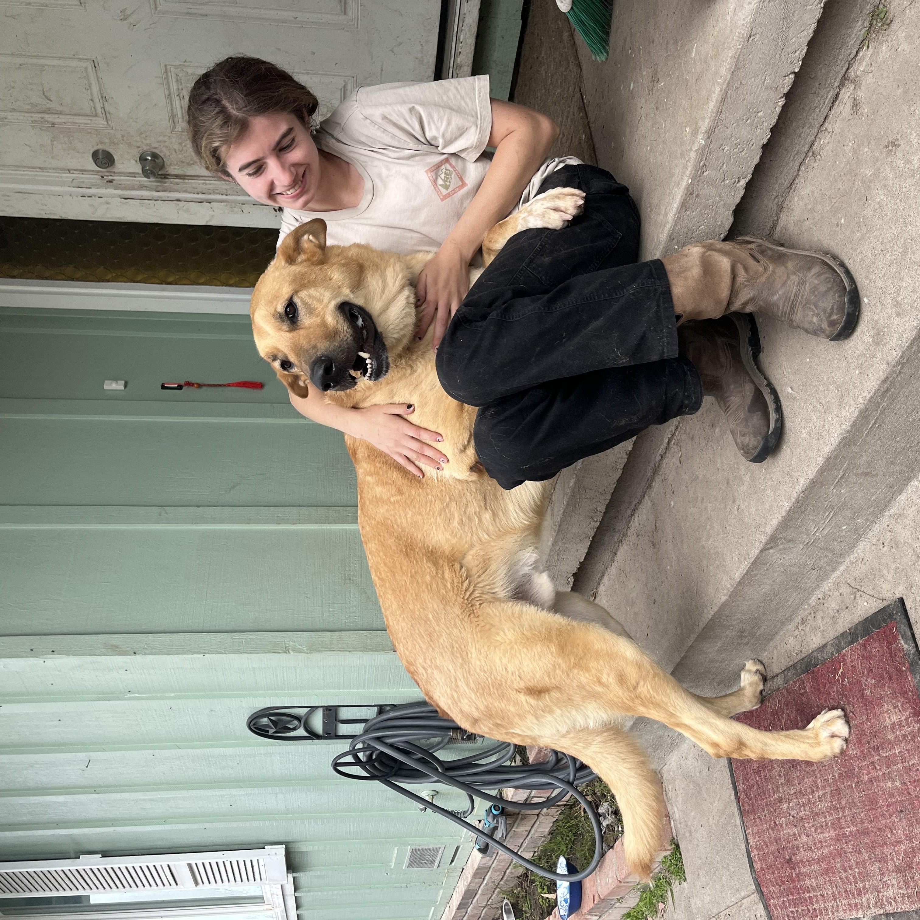 Leo, a ADOPTABLE mixed breed in Petaluma, CA image 5/5