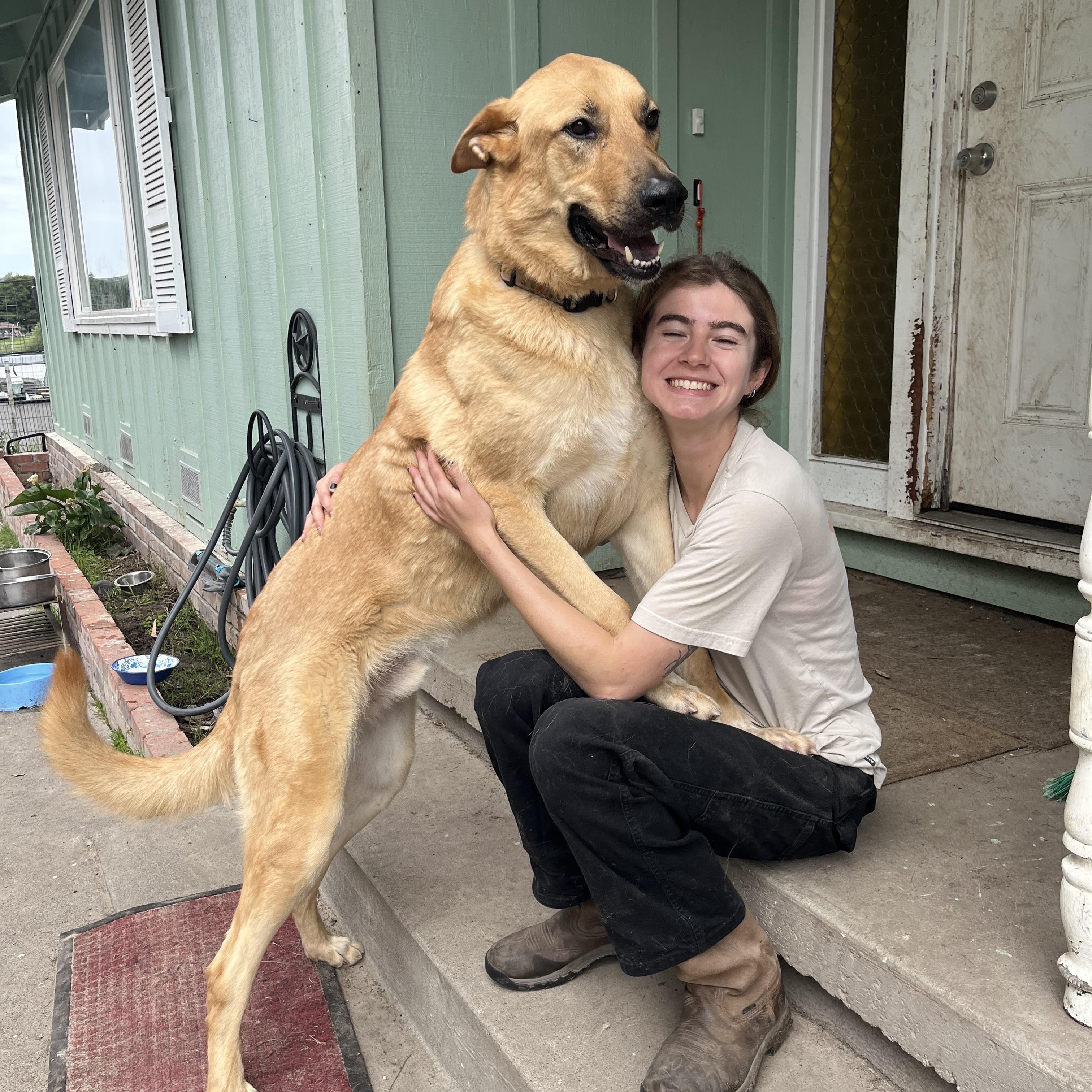 Leo, a ADOPTABLE mixed breed in Petaluma, CA image 3/5