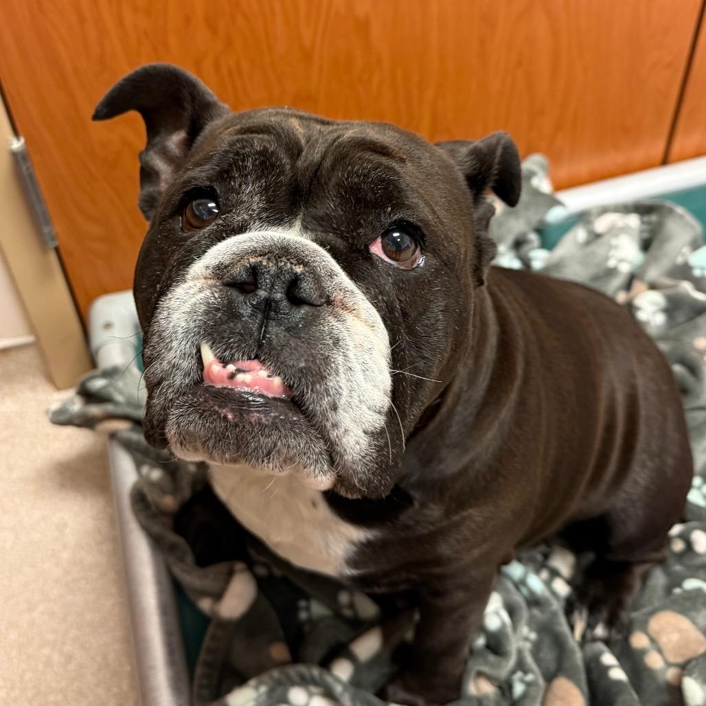 Stormy — thumbnail 2