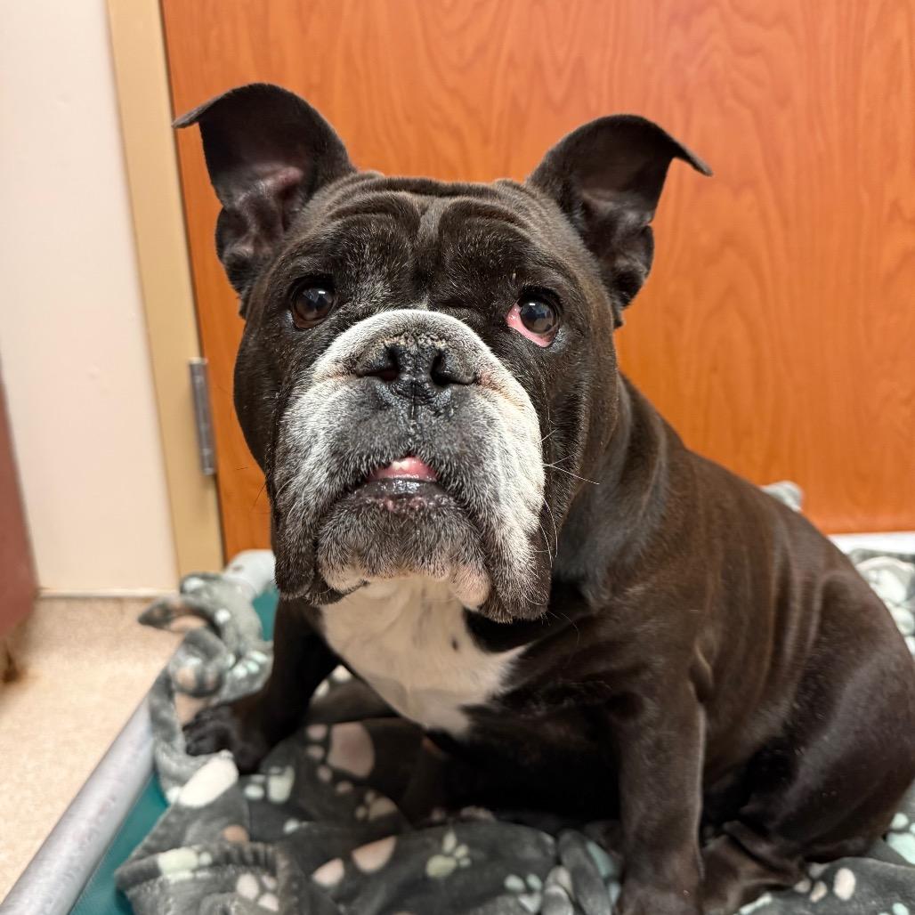 Stormy — thumbnail 3