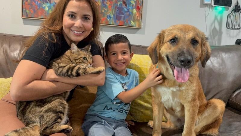 Athena Bear — thumbnail 2