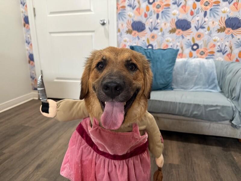 Athena Bear — thumbnail 3