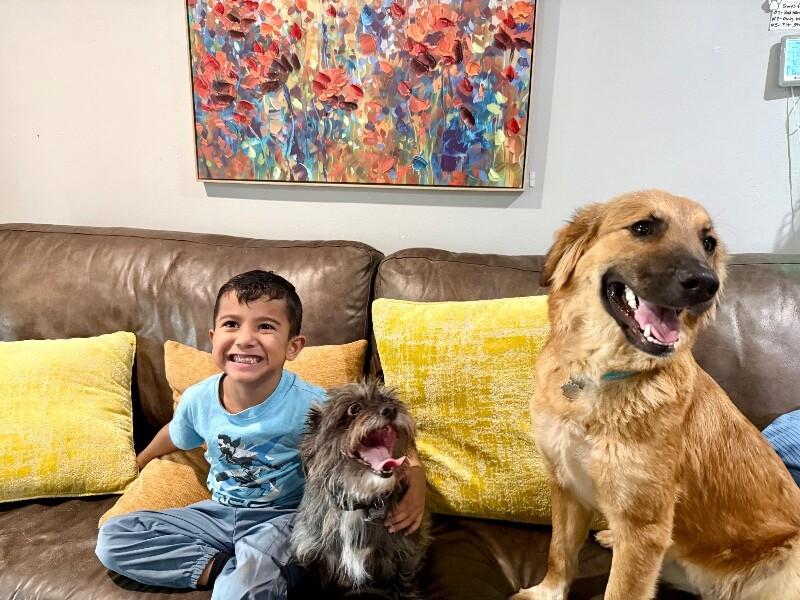 Athena Bear — thumbnail 5