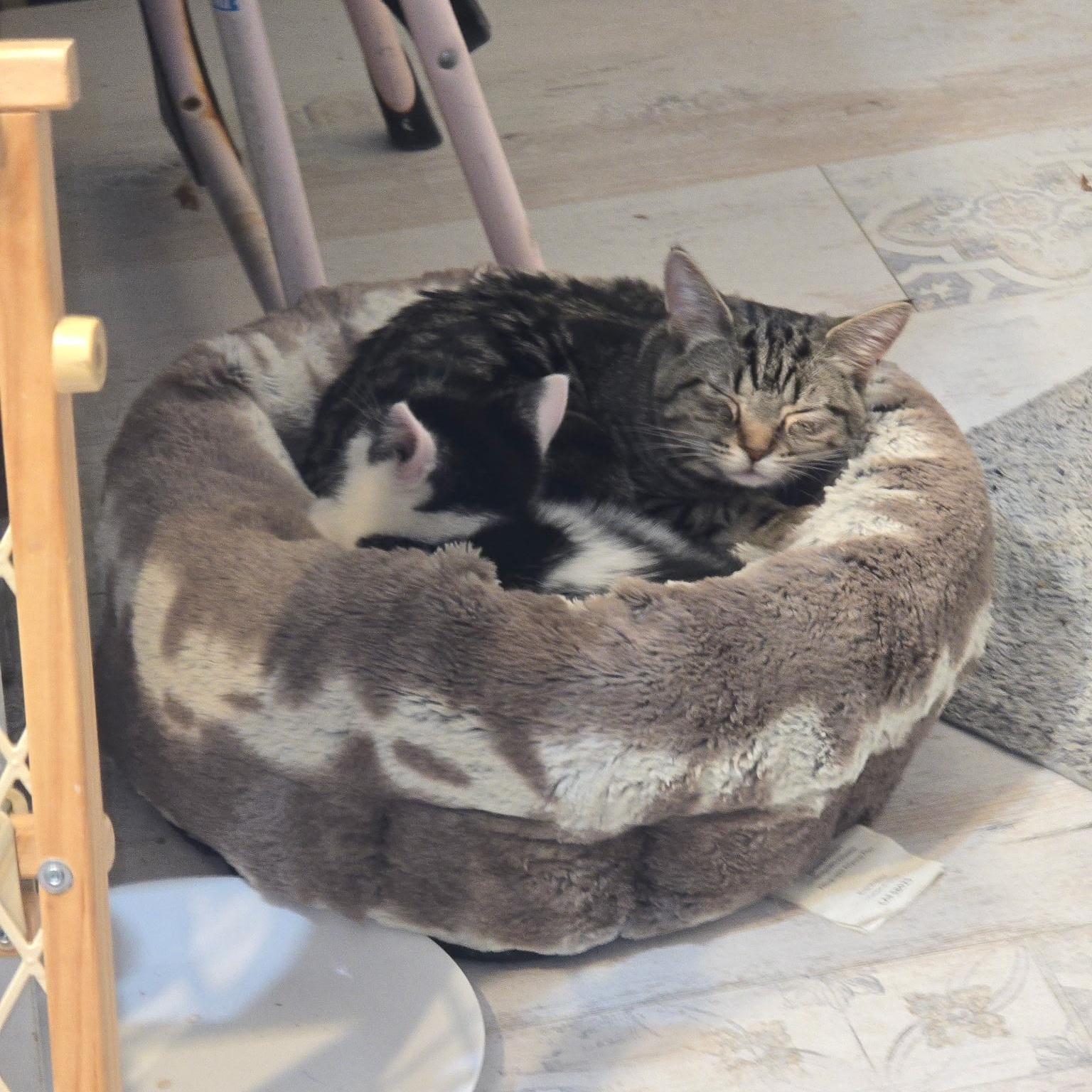 Cheechbonded With Sidney thumbnail 2