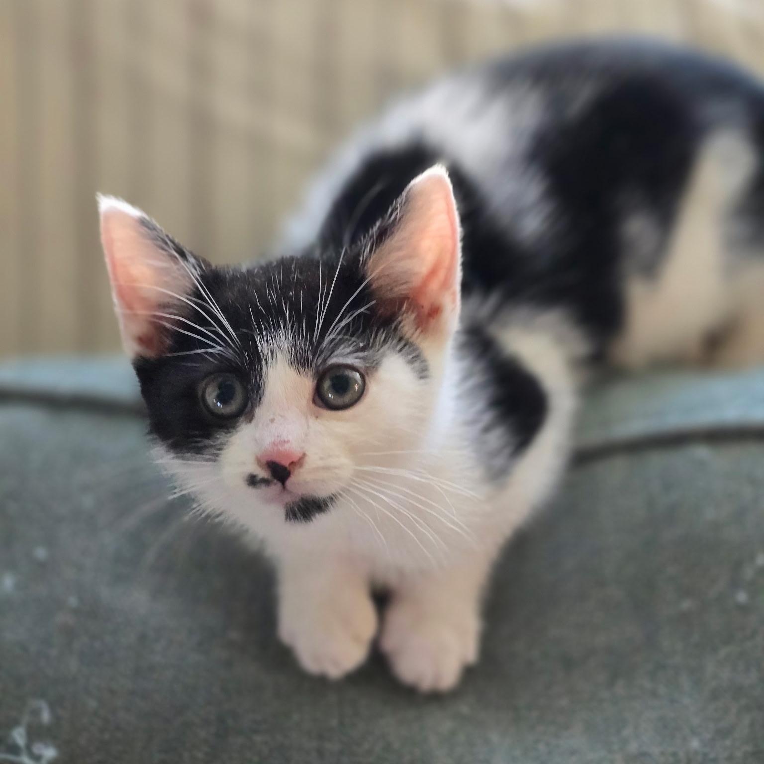 Cheechbonded With Sidney