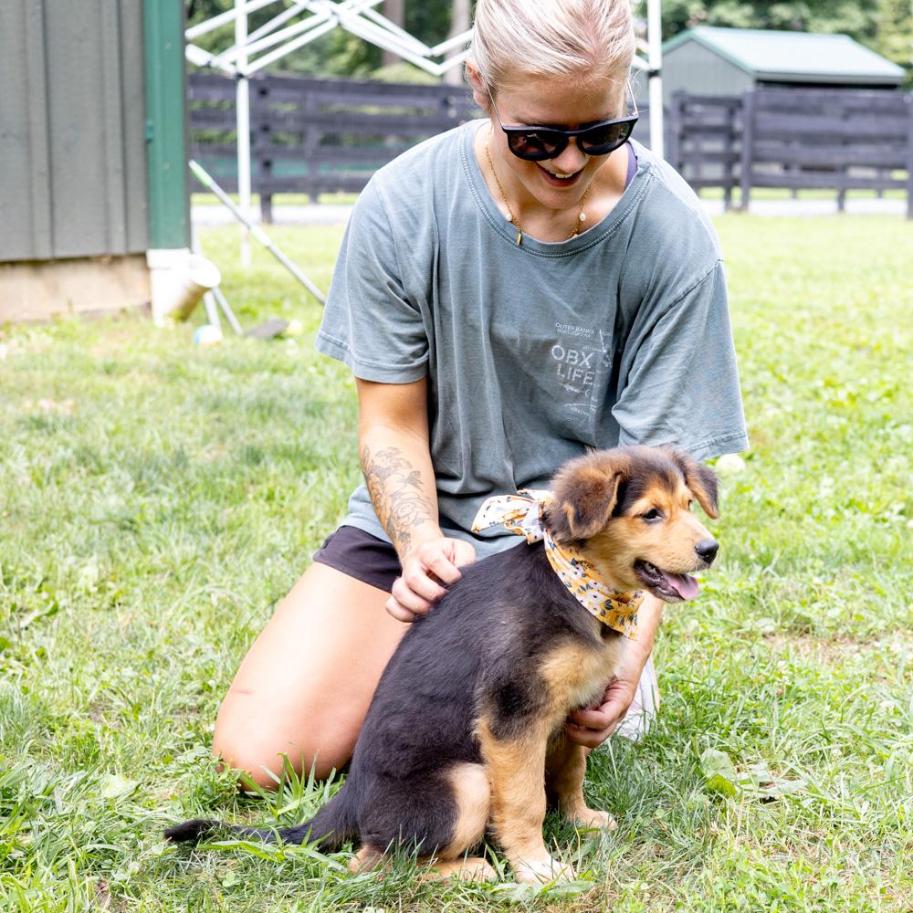 Sapphire (Female) Available 8/23