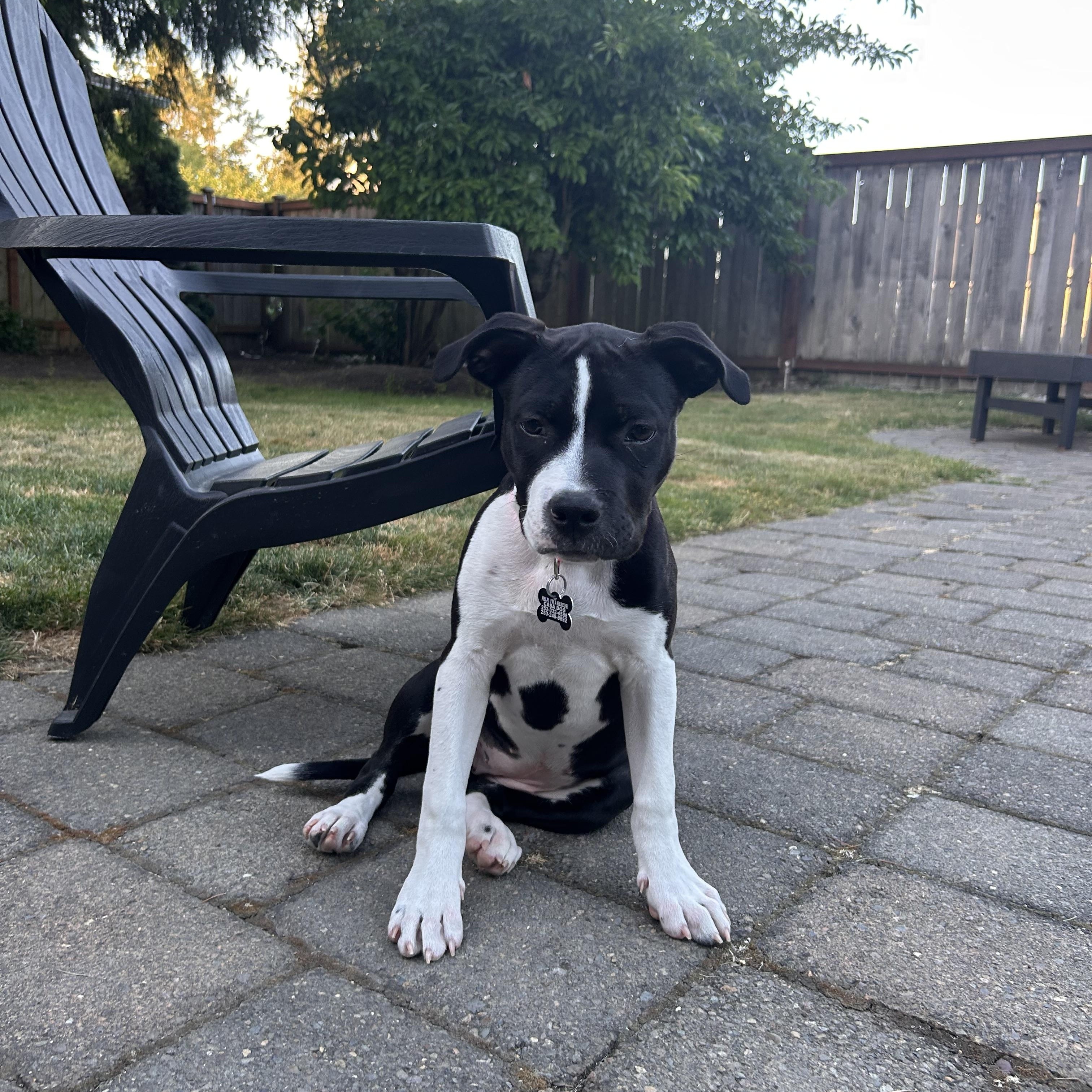 Mel