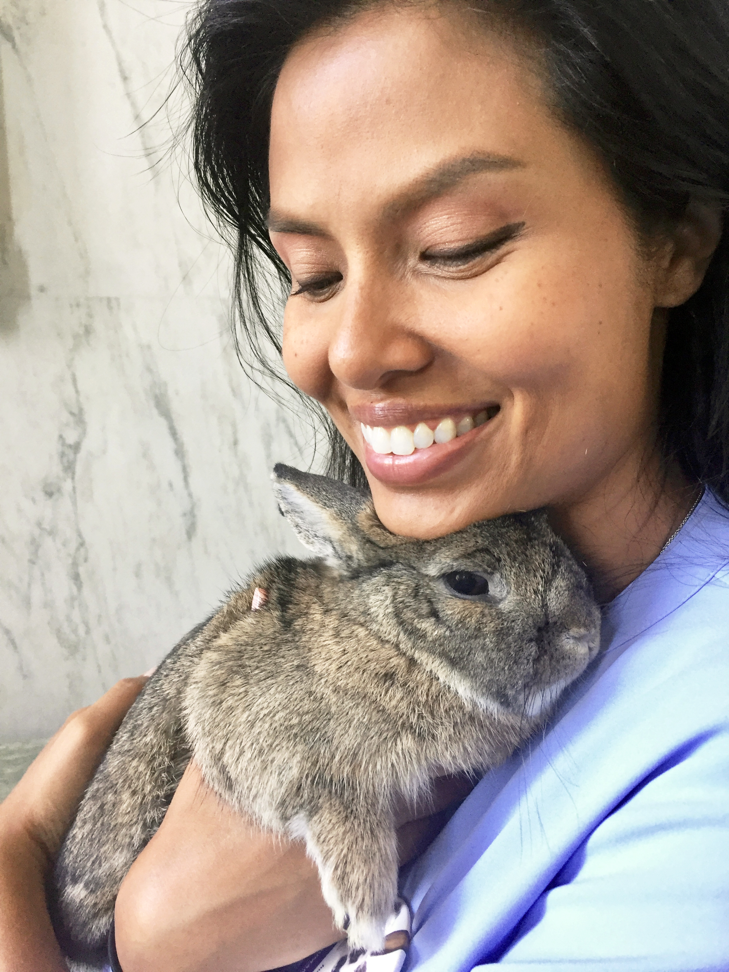 Be a Foster Parent!, a Adoptable Bunny Rabbit in Columbia, MD image 1/6