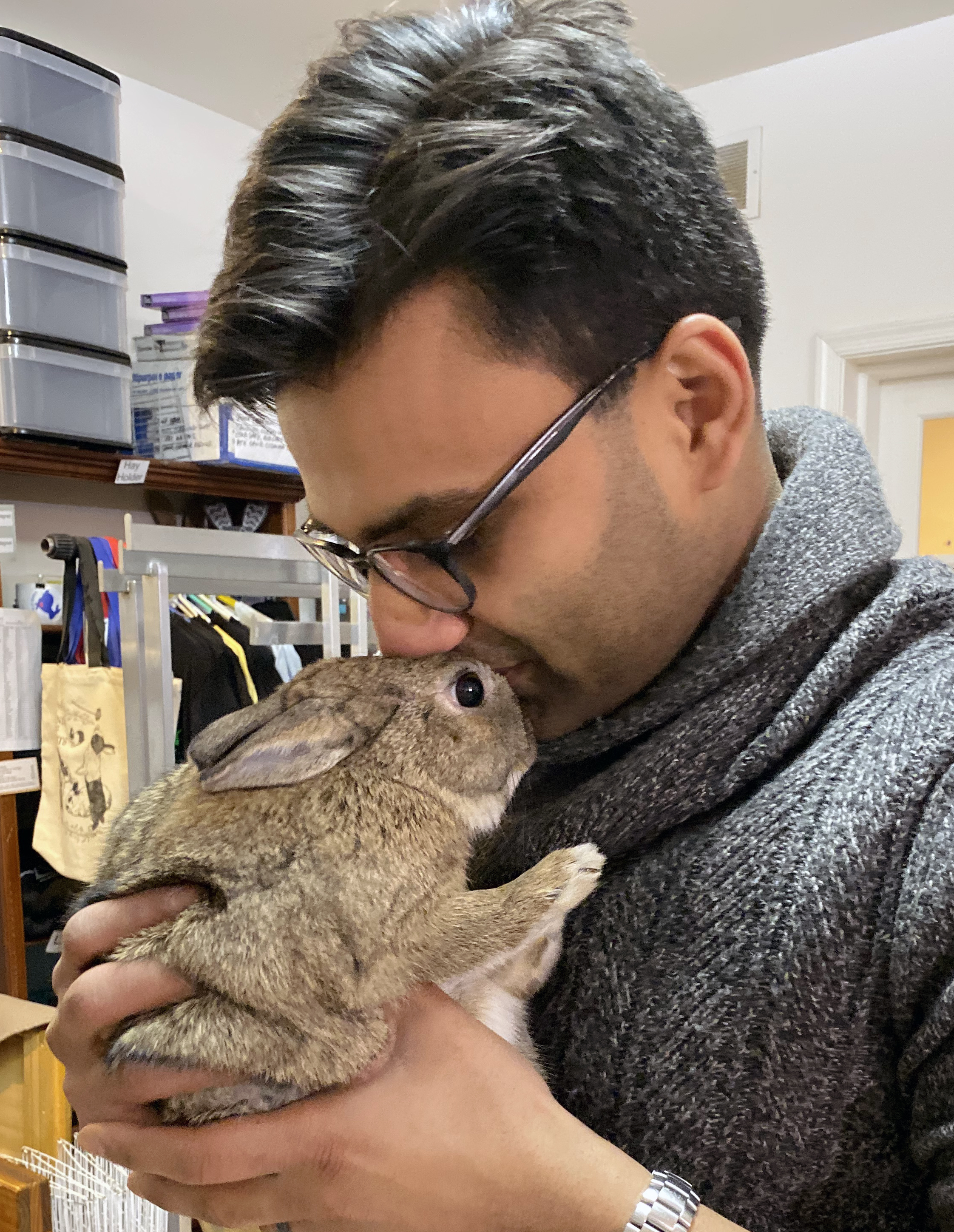Be a Foster Parent!, a Adoptable Bunny Rabbit in Columbia, MD image 2/6