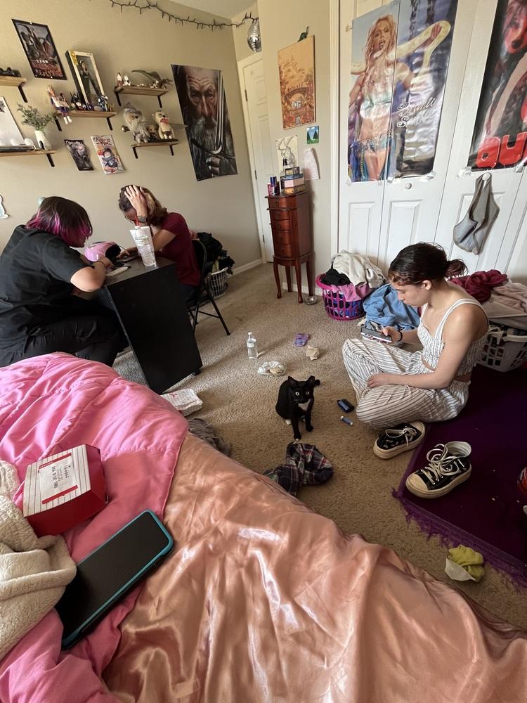 Enlarge Matilda, a Adoptable mixed breed in Brandon, FL image 4/6