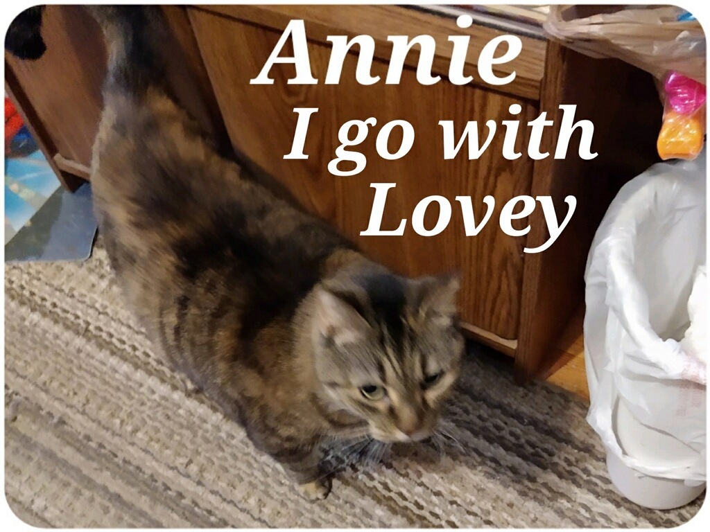 Lovey and Annie photo 2