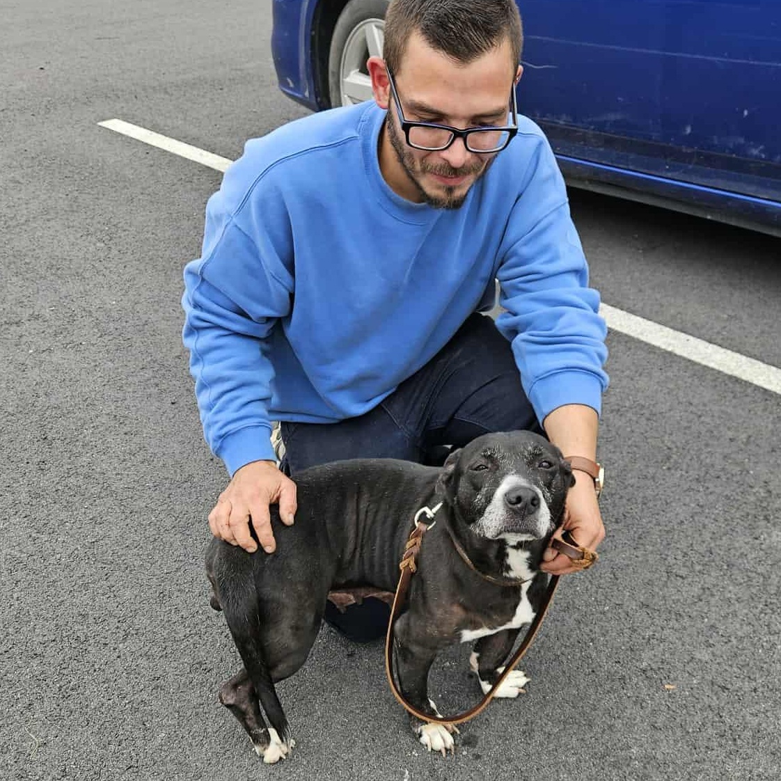 Penny, a Adoptable mixed breed in Shickshinny , PA image 3/6