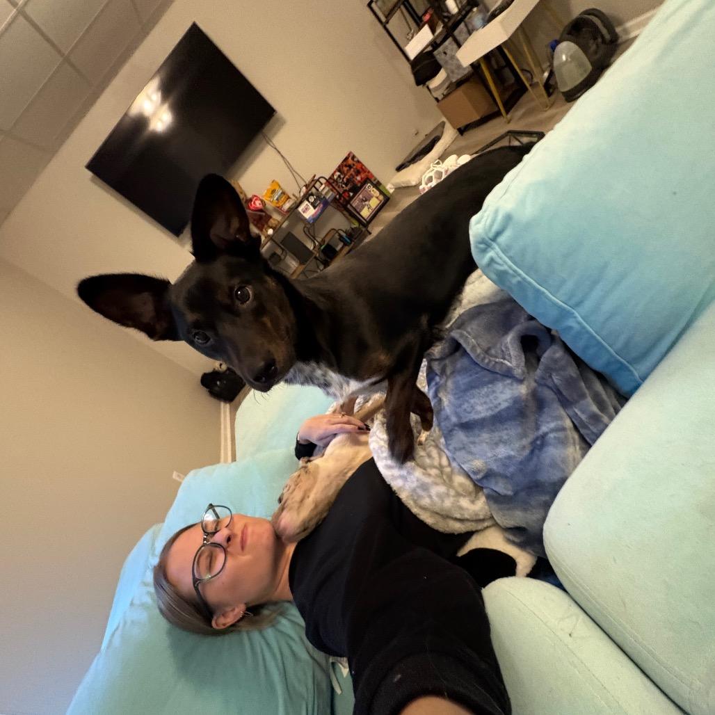 Dolly, a Adoptable mixed breed in Odenville, AL image 4/6