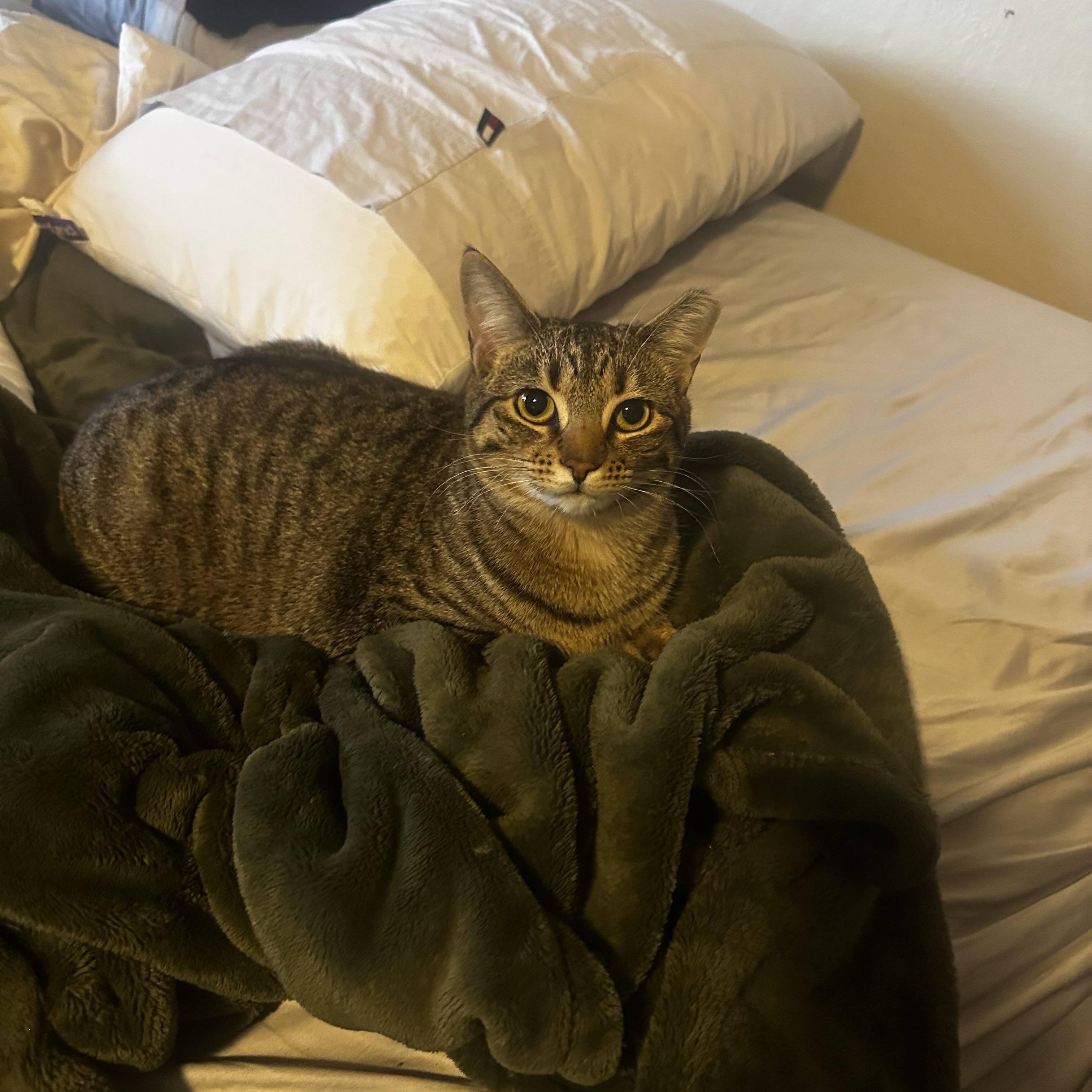 Sasha photo 2