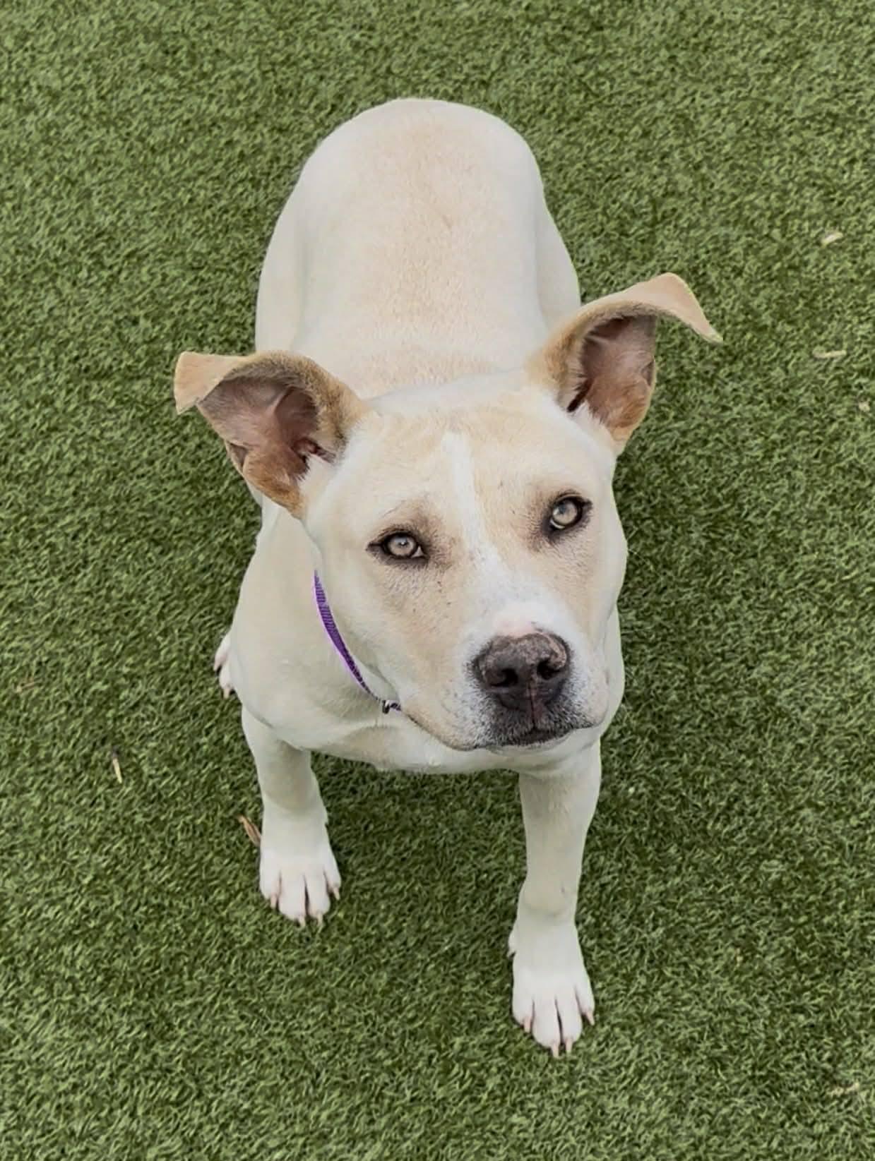 Sullivan (20260302-06)