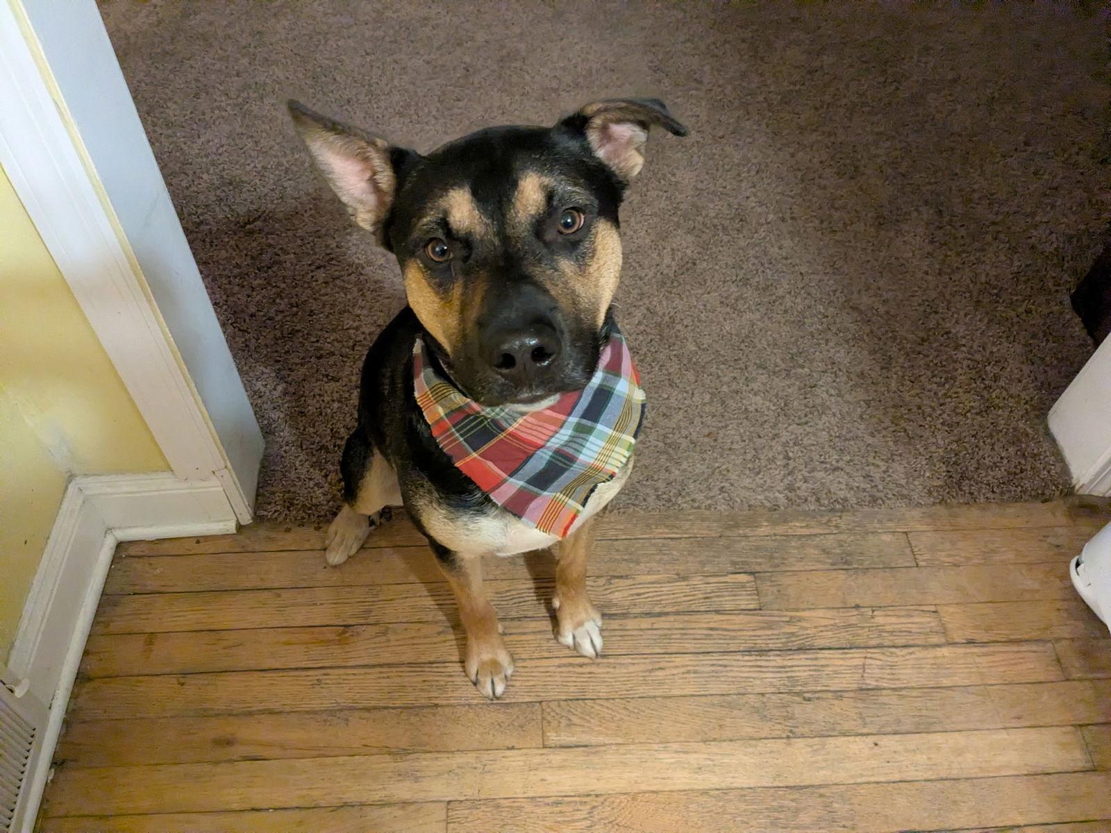 Marcus Brody thumbnail 2