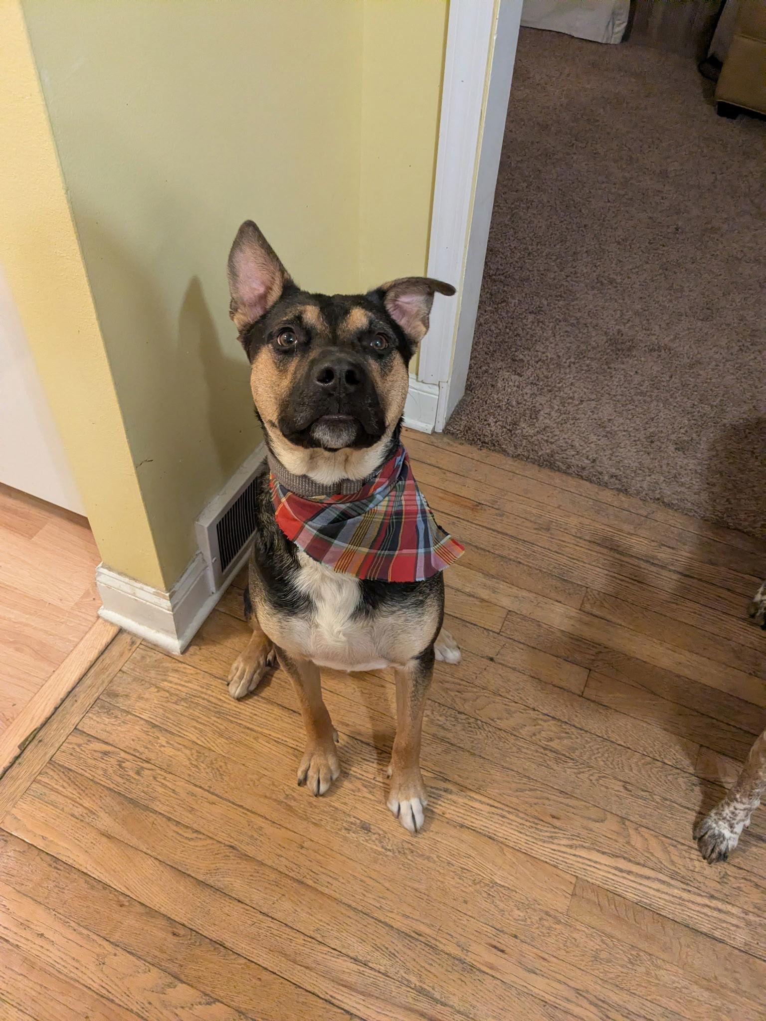 Marcus Brody thumbnail 3