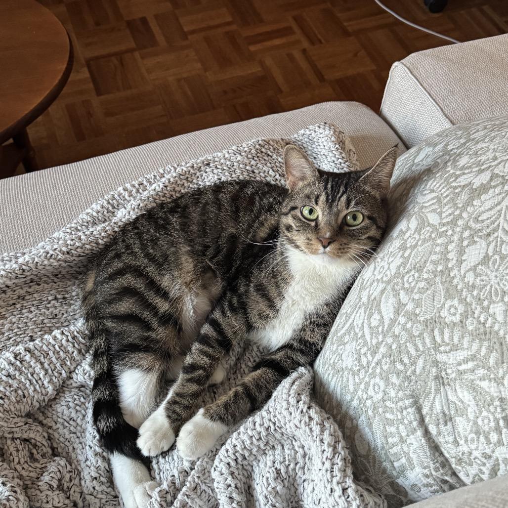 Belle 2 — thumbnail 4