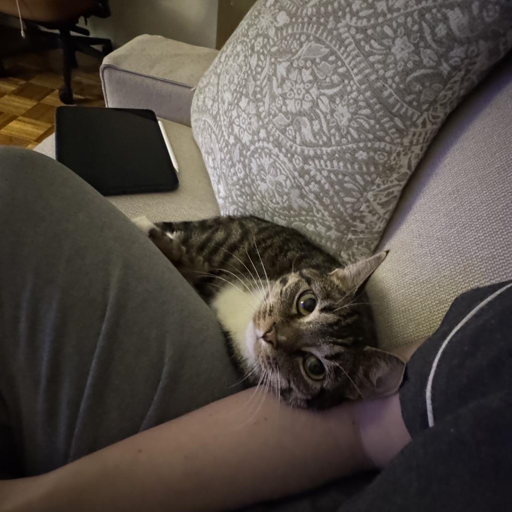 Belle 2 — thumbnail 6