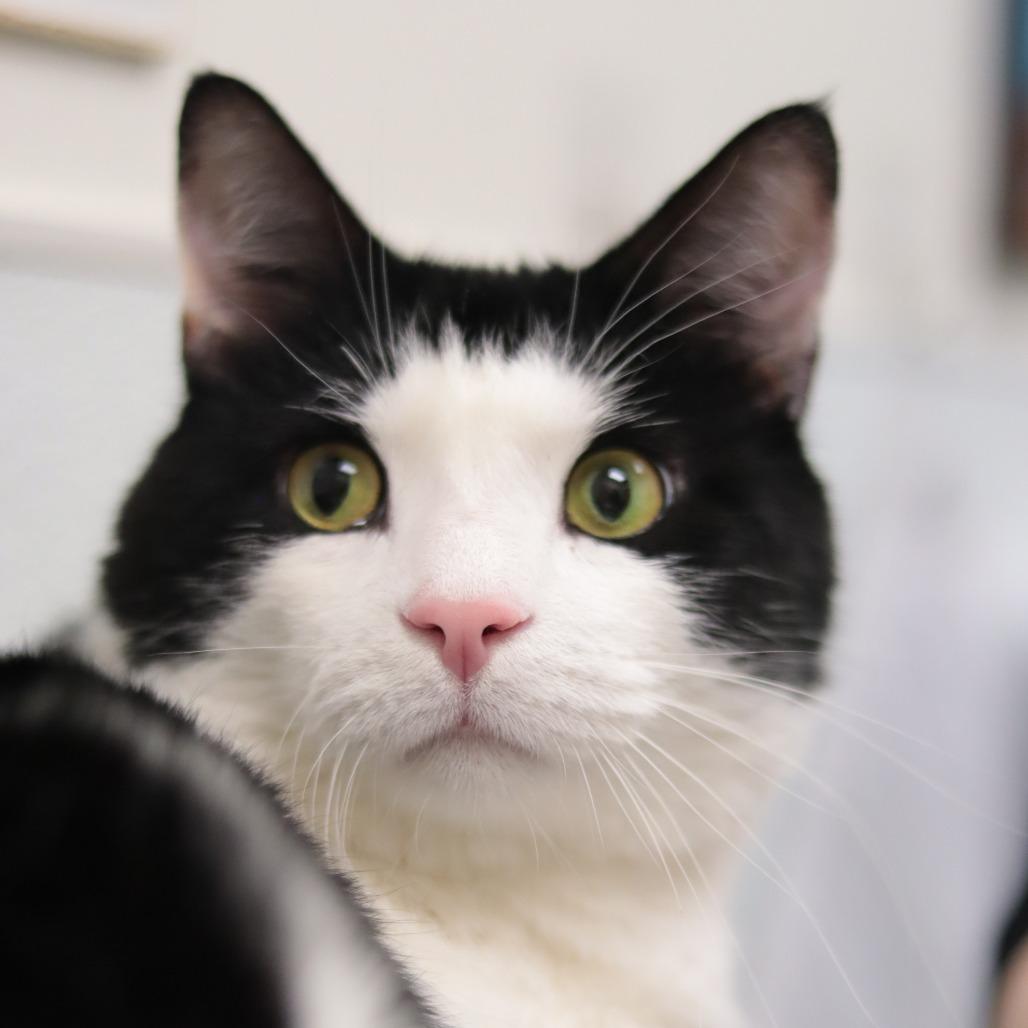 Sam Gregannie — thumbnail 2