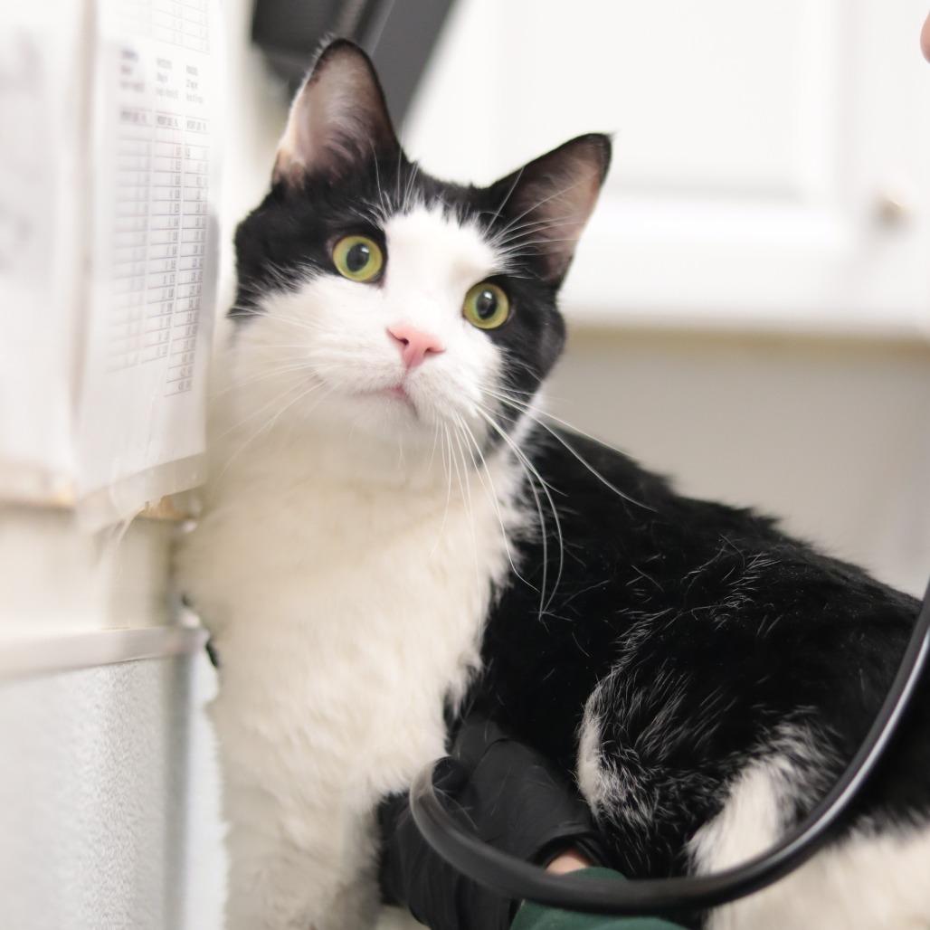 Sam Gregannie — thumbnail 3