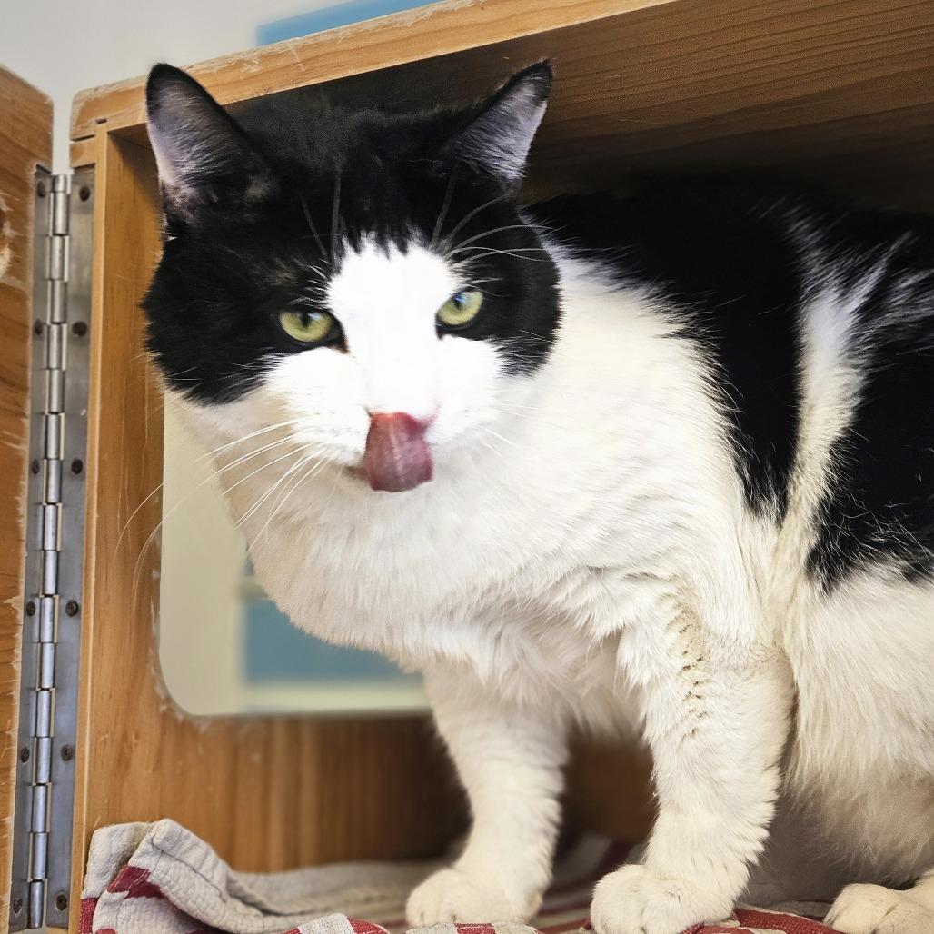 Sam Gregannie — thumbnail 4