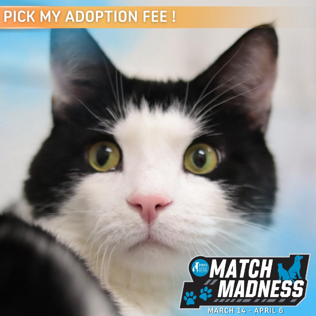 Sam Gregannie — thumbnail 5