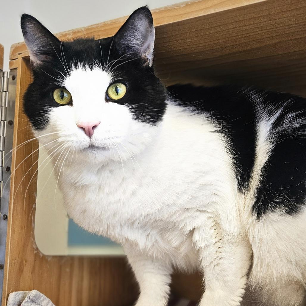 Sam Gregannie — thumbnail 6