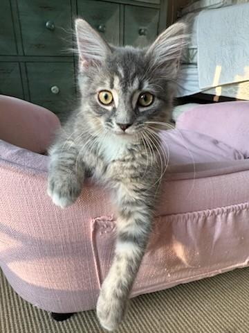 Garbanzo & Pinto thumbnail 5