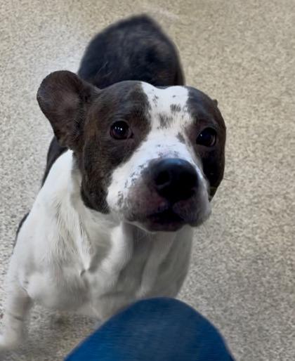 Peter — thumbnail 2