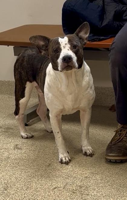 Peter — thumbnail 3