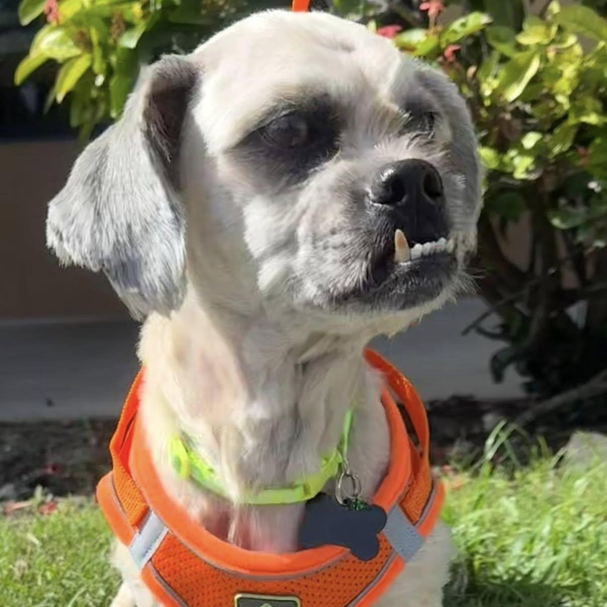 Tina