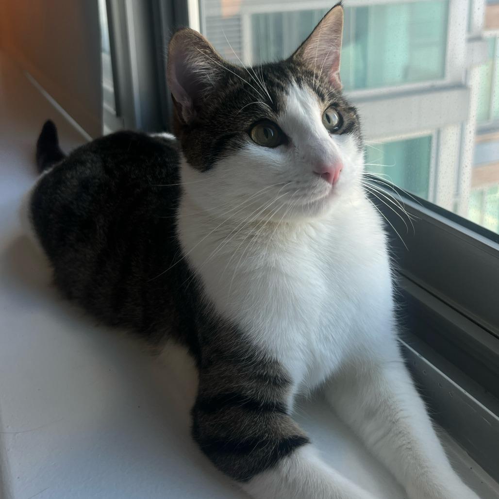 Ralph 2 — thumbnail 3