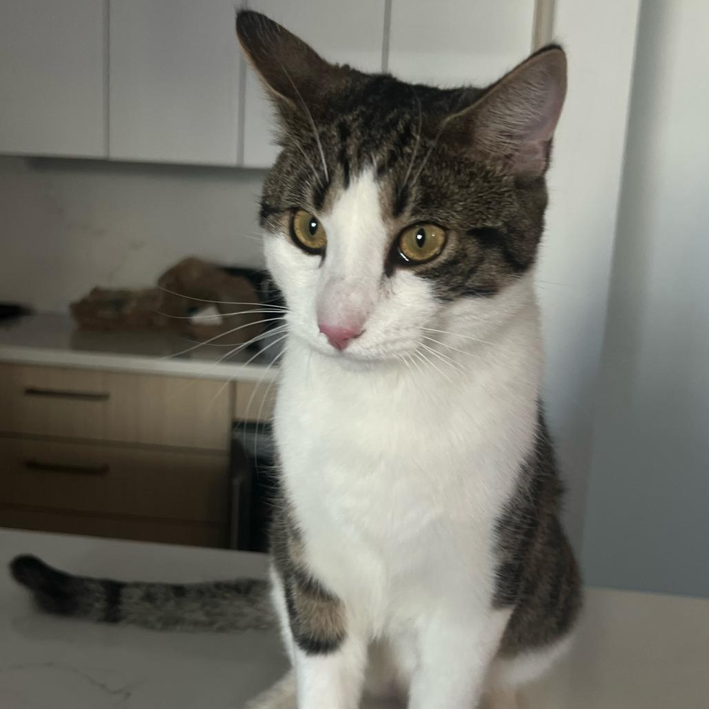 Ralph 2 — thumbnail 4