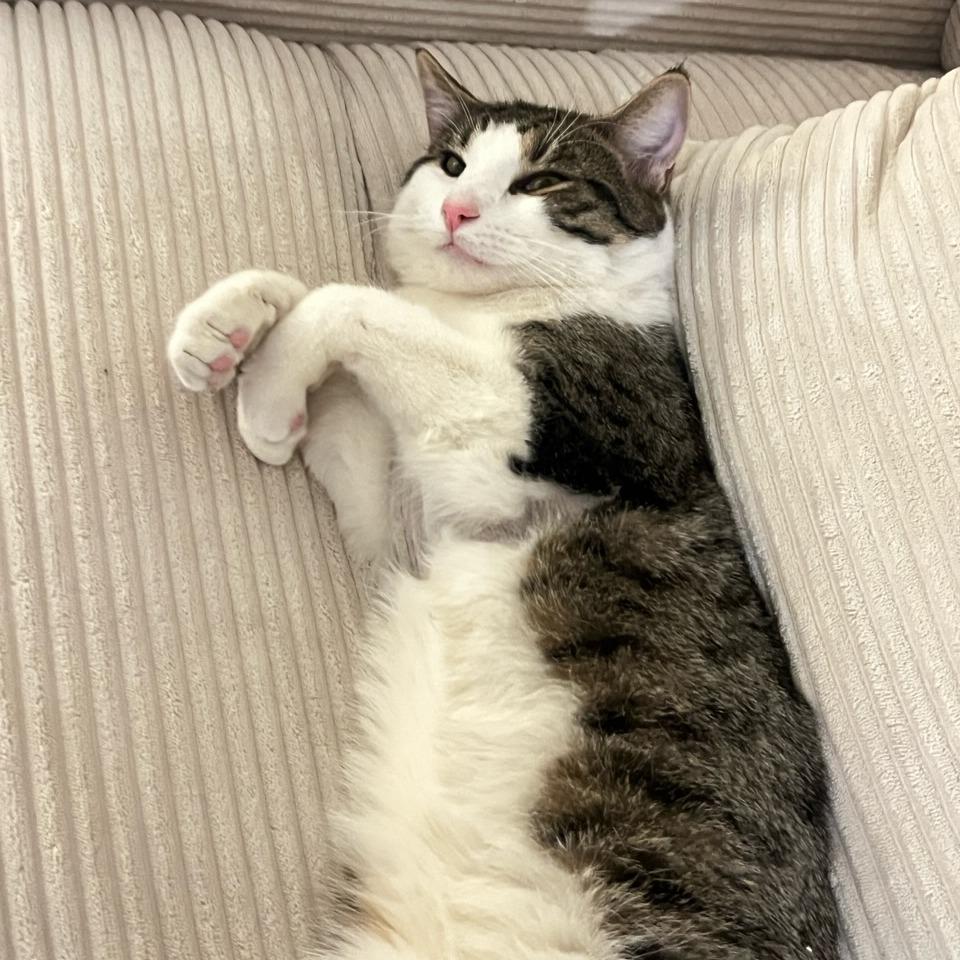 Ralph 2 — thumbnail 6