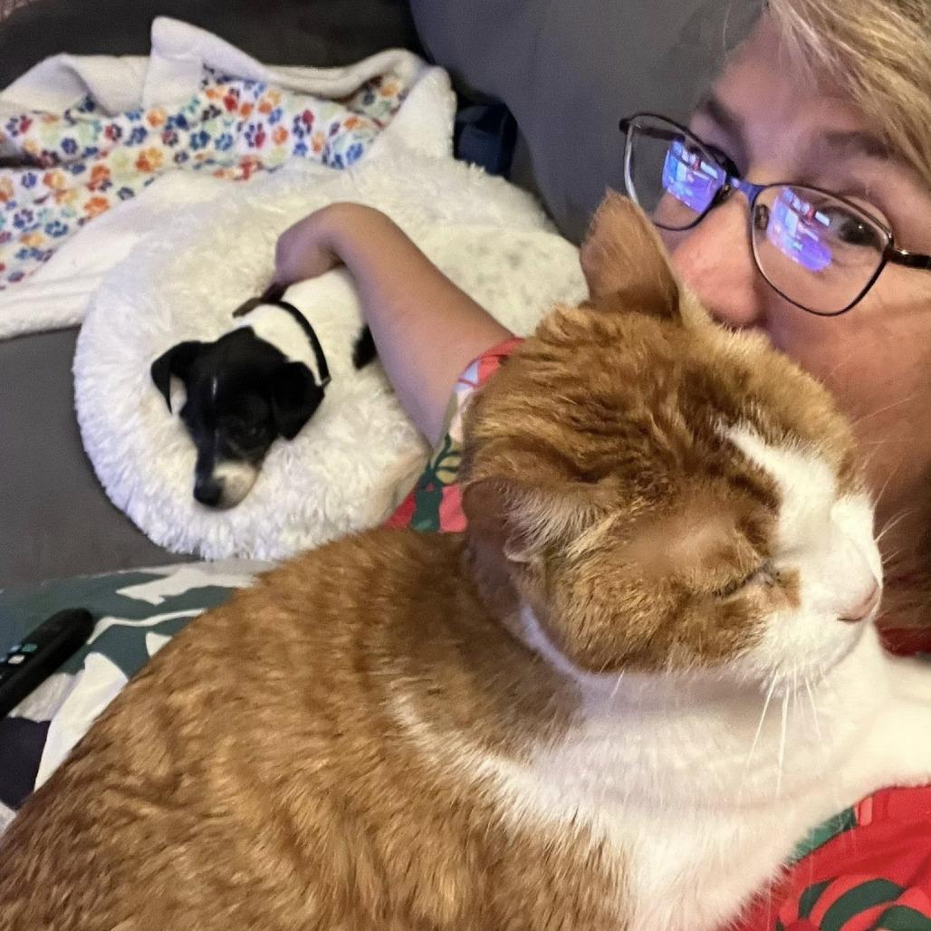 Porcini — thumbnail 3