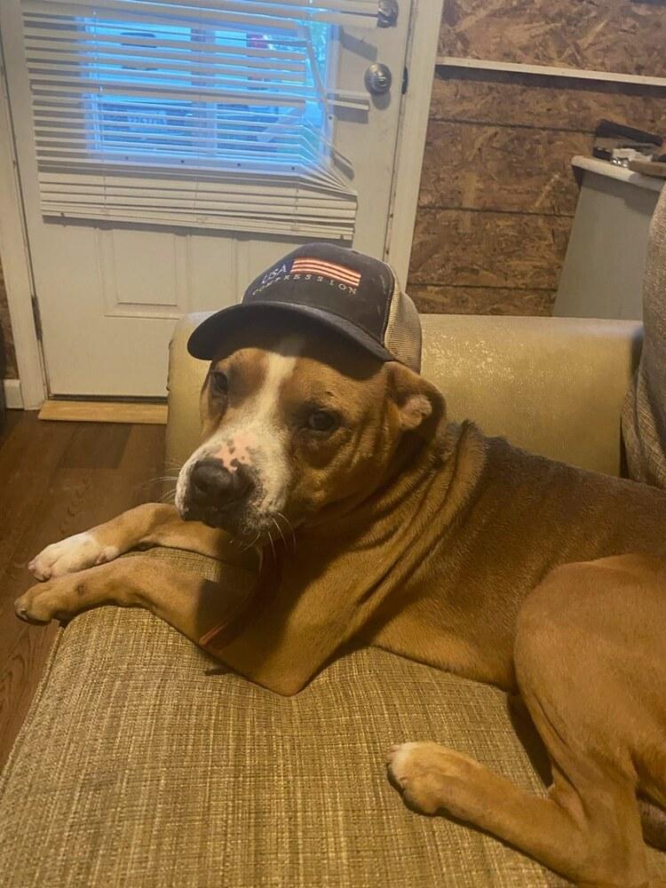 Brocho — thumbnail 4