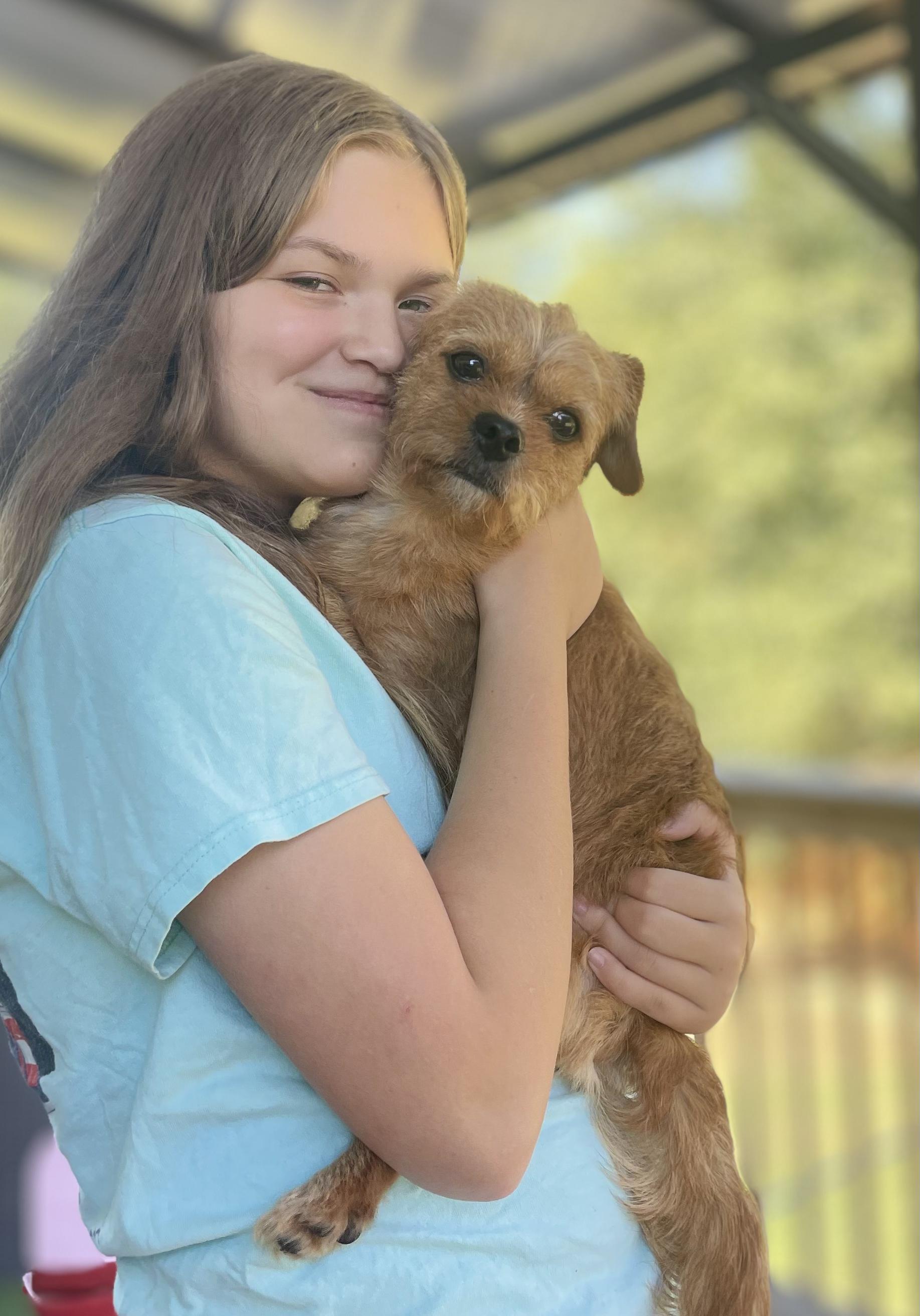 WAFFLES, a Adoptable mixed breed in Alpharetta, GA image 6/6