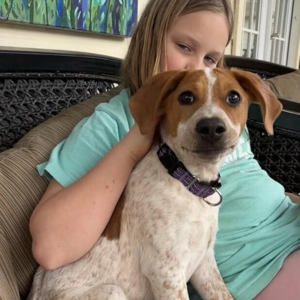 Cosmo Park Avenue — thumbnail 2