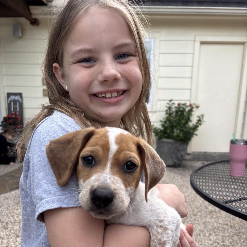 Cosmo Park Avenue — thumbnail 3